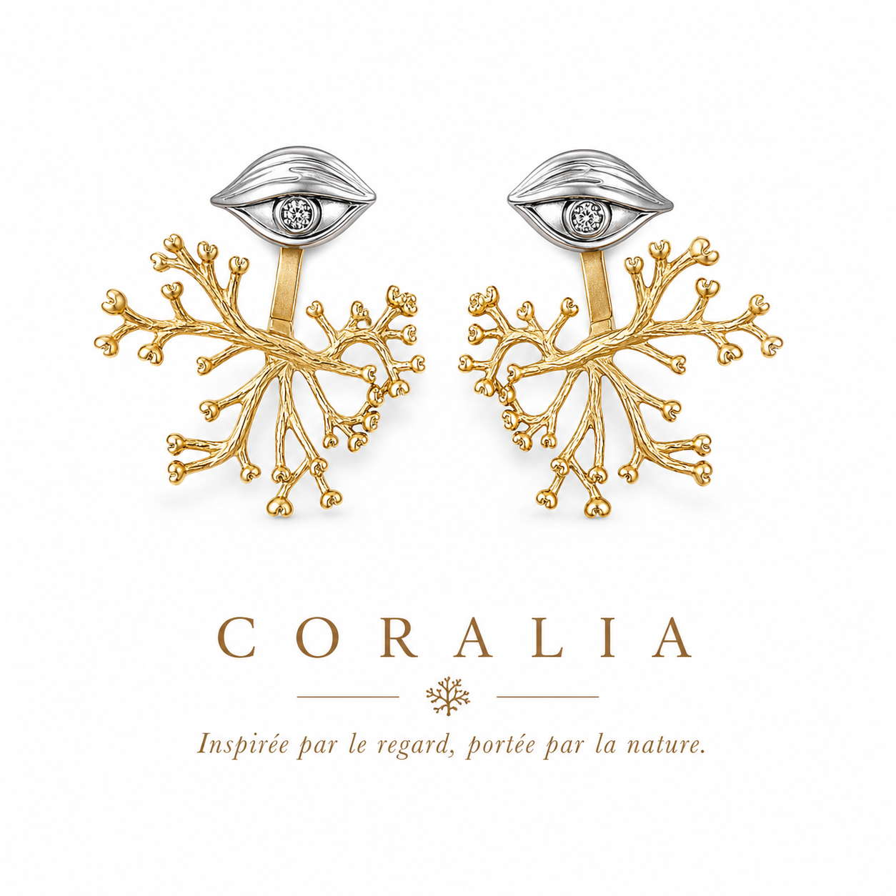 COLARİA KÜPE
