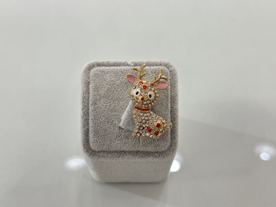 RENY YILBAŞI BROŞU